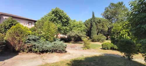 a garden with trees and bushes in front of a house at Les Capitouls - avec entrée autonome, clim neuve, jardin, parking privé & sa piscine ! - in Toulouse