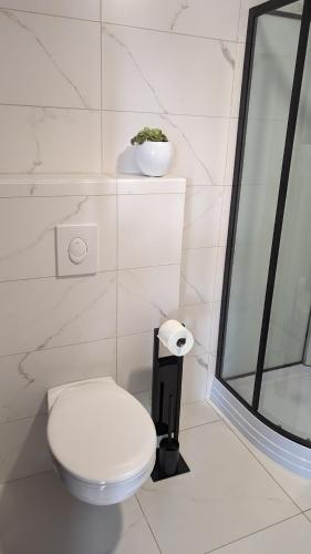 La salle de bains blanche est pourvue de toilettes et d'un miroir. dans l'établissement La Palombe, à Saint-Macaire