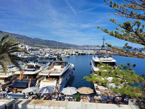 Huge penthouse with private suites shared terrace and kitchen BEST VIEWS