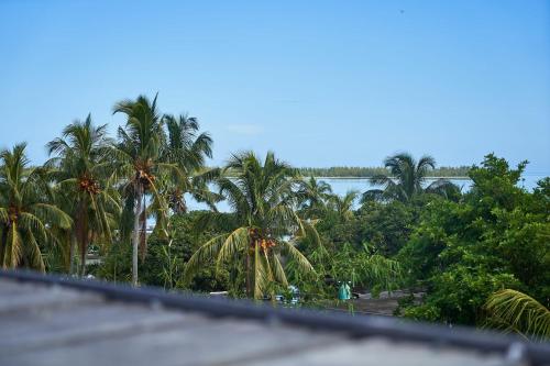 a view from the roof of a house with palm trees at Loukaz -entire Rental Units W Panoramic Rooftop in La Gaulette