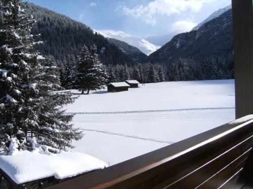 a view of a snow covered field with a christmas tree at Albergo Thurwieser in Santa Caterina Valfurva