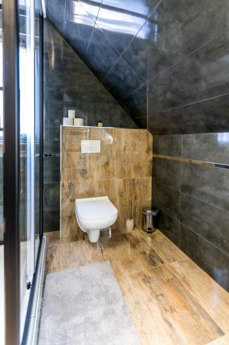 a bathroom with a toilet in a room at Mátravölgy Apartmanház in Pásztó