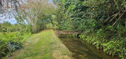 a river in a forest with a bridge and trees at Las Julies's Apartment in Arenales