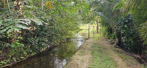 a gate in the middle of a river in a jungle at Las Julies's Apartment in Arenales