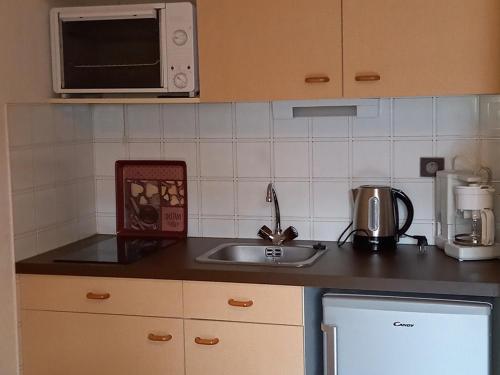 une cuisine avec un évier et un micro-ondes dans l'établissement Studio ski-in ski-out à La Joue du Loup - FR-1-504-691, à La Joue du Loup