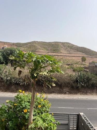 a palm tree on the side of a road at Casa Tota in Assomada