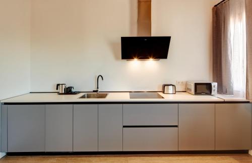 a kitchen counter with a sink and a microwave at Sercotel Granada Suites in Granada