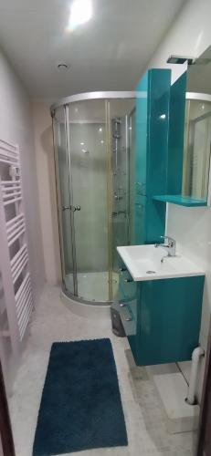 une salle de bain avec une douche en verre et un lavabo dans l'établissement Maison chez l'habitant, à Bouère
