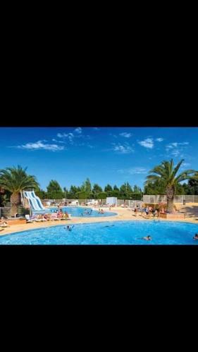 une grande piscine avec une plage et des palmiers dans l'établissement Camping les Salins de la Gardiole, à Vic-la-Gardiole