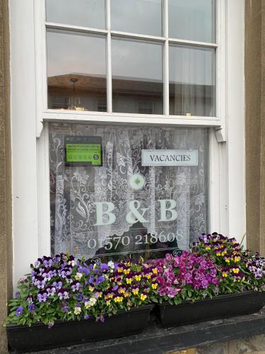 a window with a bunch of flowers in a window box at Evangelisa in Lampeter