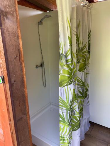 a shower curtain with a plant in a bathroom at Fox House Tisá / Rájec in Tisá