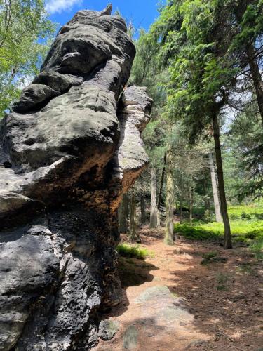 a rock formation on a trail in the woods at Fox House Tisá / Rájec in Tisá
