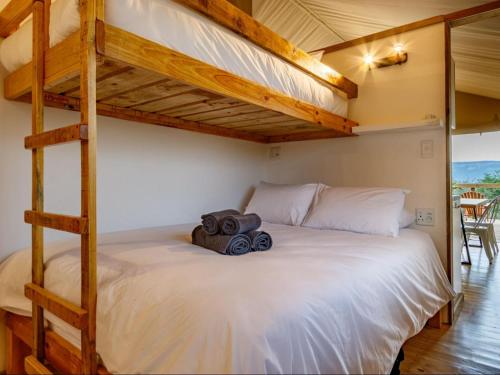 a bedroom with a bunk bed with a ladder at AfriCamps at Bonamanzi Game Reserve in Hluhluwe