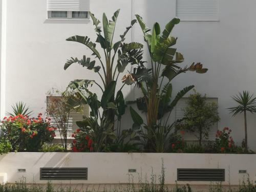 Very high standing apartment
