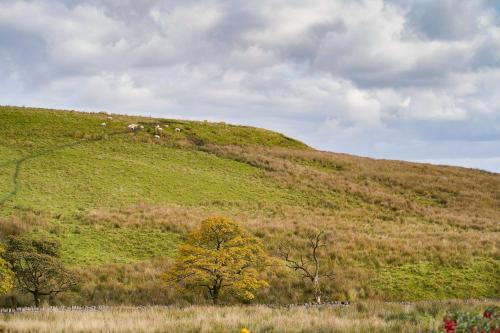 a green hill with sheep grazing on it at Cadshaw Country Views in Darwen