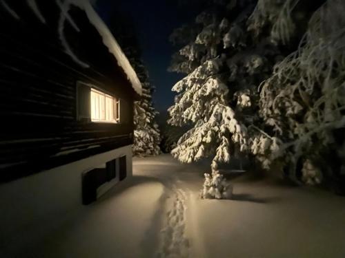 Gallery image of Gemütliches Alpen-Chalet auf 1600m Höhe in Malix