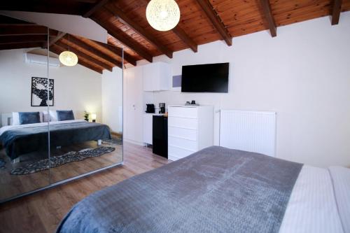 a bedroom with a bed and a television in it at Oiti Mountain Apartments in Pávliani