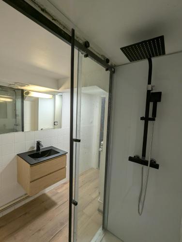 une salle de bain avec un lavabo et un miroir dans l'établissement Appartement tout équipé de 2 chambres a charmes, à Charmes