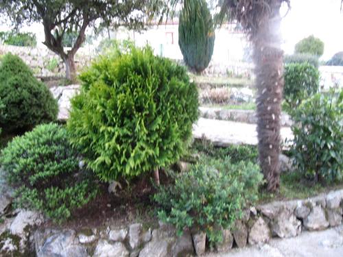 a garden with bushes and trees and a stone wall at Pensión Mariaje in Celorio