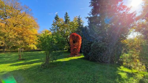 Giardino di Buchengrund