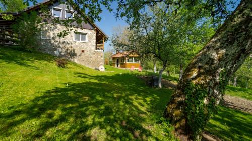 ein Haus auf einem grasbewachsenen Hügel mit einem Baum in der Unterkunft Ferienhaus für 6 Personen und 1 Kind in Slee Skradsko, Gespanschaft Primorje-Gorski Gorski kotar in Zrnovac