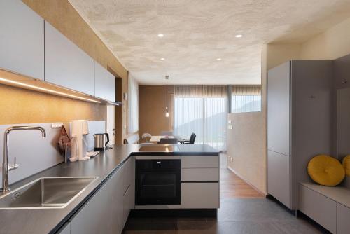 a kitchen with a sink and a counter top at Ratscheinerhof App Gipfelglück in Lazfons