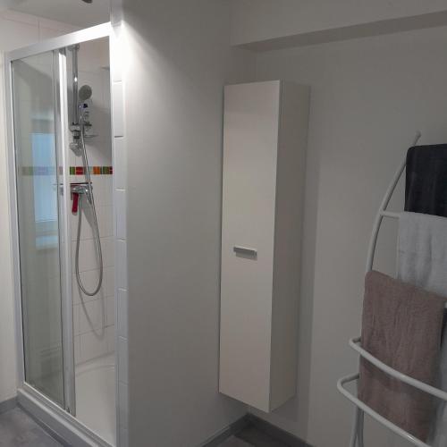 a bathroom with a shower with a glass door at Gîte NOCTUA chez Gîtes QUE CANTA in Saint-Julien-Vocance