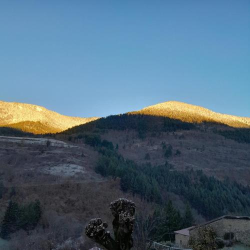 a view of a mountain with trees on it at Gîte NOCTUA chez Gîtes QUE CANTA in Saint-Julien-Vocance