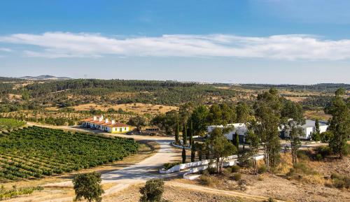 an aerial view of a vineyard with a house and a road at Herdade do Gamito in Crato