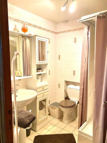 une salle de bain blanche avec des toilettes et un lavabo dans l'établissement Chambre avec du charme, à Saint-Martin-sous-Vigouroux