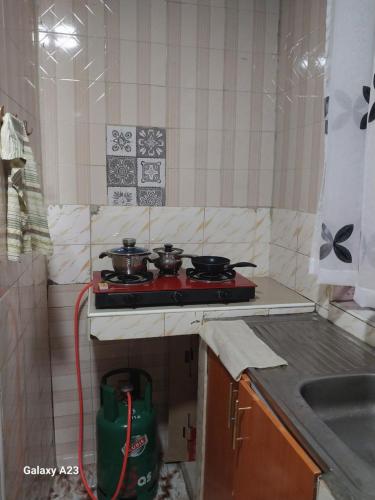 Kuchyň nebo kuchyňský kout v ubytování Hawls Apartment