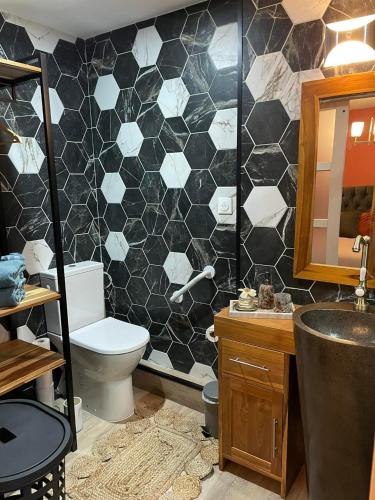 une salle de bain avec toilettes et lavabo dans l'établissement Chambre cosy, à Saint-Amand-les-Eaux