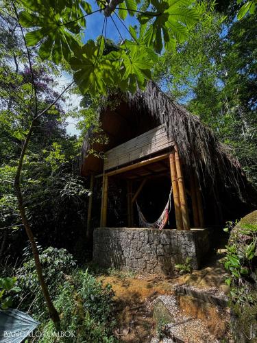 a small hut with a thatched roof in the woods at Sitio Simple Life in Ubatuba