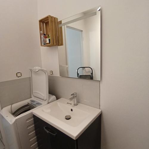 une salle de bain avec un lavabo, des toilettes et un miroir dans l'établissement joli T2, à La Bourboule