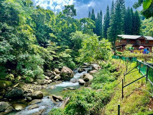 a river in a forest with a house in the background at 南苑莊園 NanYuan Resort Manor in Nanzhuang