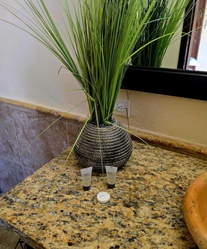Fotografie z fotogalerie ubytování The Casita v destinaci Puerto Peñasco