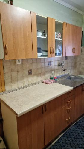 a kitchen with wooden cabinets and a sink at Chata oranžová in Jelenec