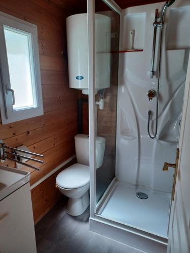 une petite salle de bain avec toilettes et douche dans l'établissement gîte à la ferme du Marquisat, à Crots