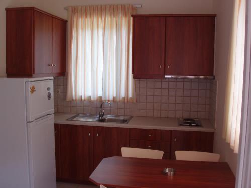 提羅斯的住宿－曼托公寓，厨房配有木制橱柜、桌子和冰箱。