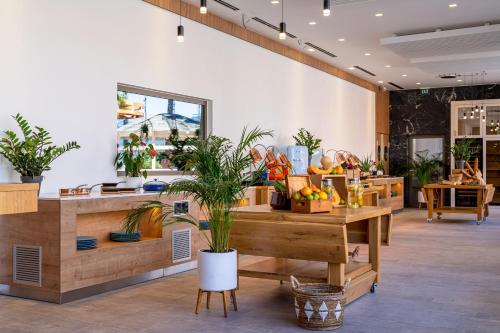 uma loja com uma planta em vaso sobre uma mesa em Monte Palm Beach em Tivat