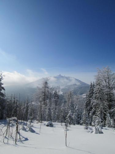 a snow covered hill with trees and a mountain at Ferienwohnung In Bayerisch Eisenstein Mit Garten in Bayerisch Eisenstein