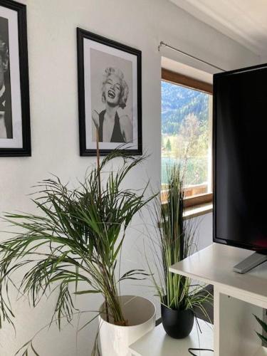 a living room with potted plants and a television at Ferienwohnung Studio Seebrauer In Feld Am See in Feld am See