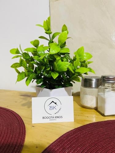 a potted plant in a box on a table at Bogotá Kings 302 in Bogotá