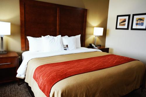 a hotel room with a large bed and two lamps at Comfort Inn & Suites Covington - Mandeville in Covington