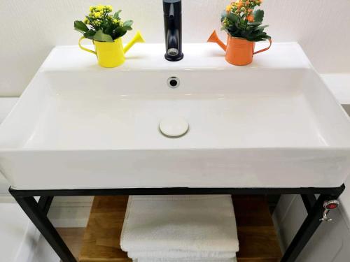 un évier blanc avec trois plantes au-dessus dans l'établissement Appartement Zen Strasbourg center avec parking, à Strasbourg