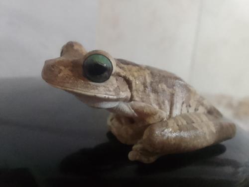 Gambar di galeri bagi Las Tekas di Santa Marta