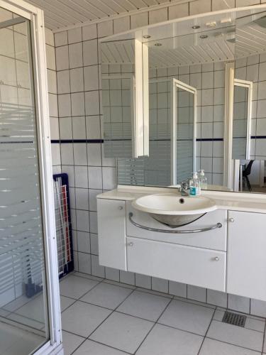 a bathroom with a sink and a mirror at Nymindegab Ridecenter Ferienwohnung in Nørre Nebel