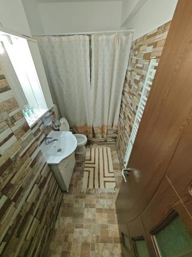 a bathroom with a toilet and a sink at Apartament Luca in Călimăneşti