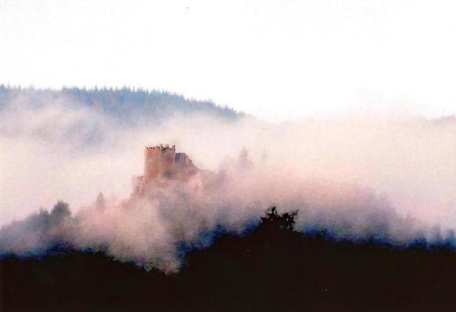 a castle in the middle of a foggy field at Perle Lollipop in Bullay