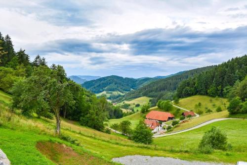 a valley in the mountains with a house and a road at Fewo Mit Whirlpool Und Fass Sauna Im Schwarzwald in Hausach